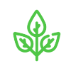 Eco Check icon