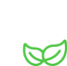 Eco Plan icon