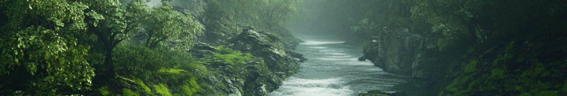 bg_image